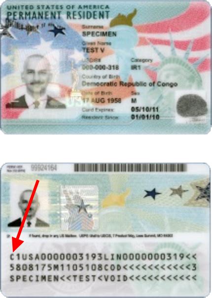 green card status|green card amerika.